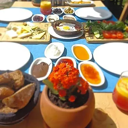酒店 Gocek Unlu 3*